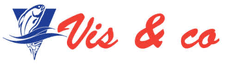 Vis & Co logo